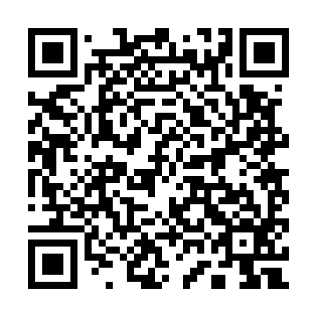 QR code for plate 17B 596