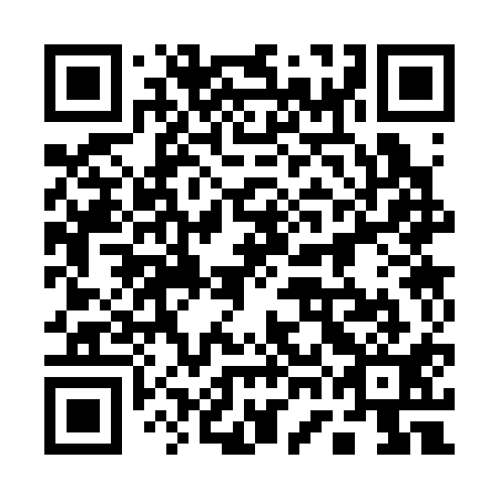 QR code for 17C311
