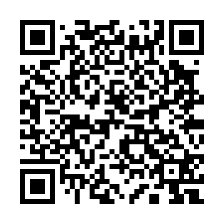 QR code for plate 17C P20