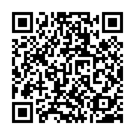 QR code for plate 17F P38