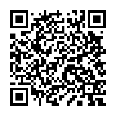 QR code for plate 17G 033
