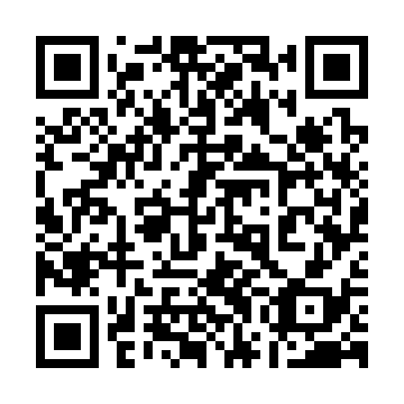 QR code for plate 17G 338