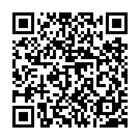 QR code for plate 17G GI0