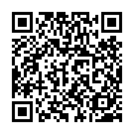 QR code for plate 17H TJ0