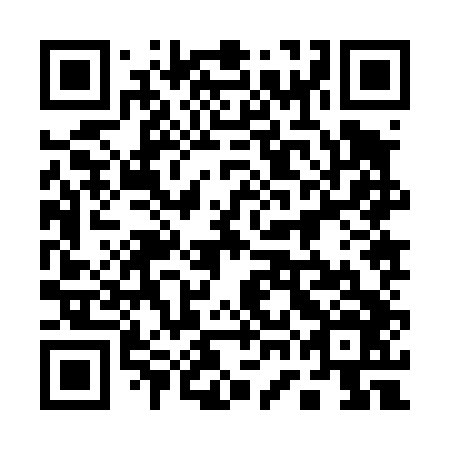 QR code for plate 17J 446