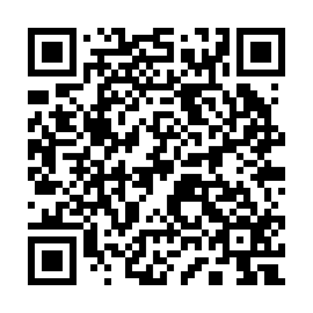 QR code for plate 17K R16