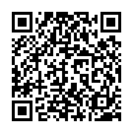 QR code for plate 17M G33