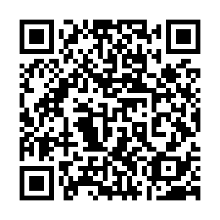 QR code for 17N O38