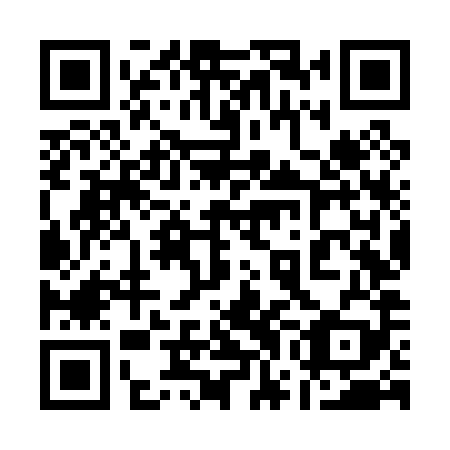 QR code for 17N P89