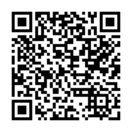 QR code for 17N373
