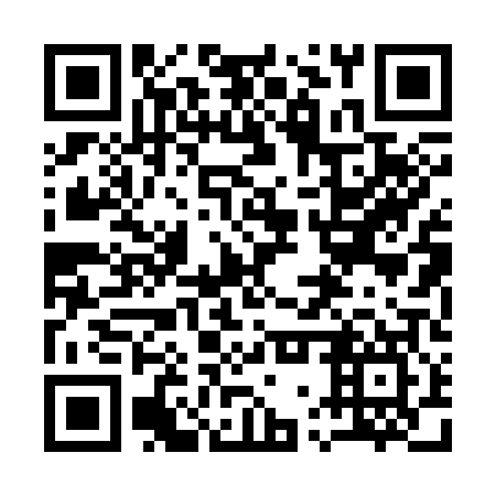 QR code for 17P 307