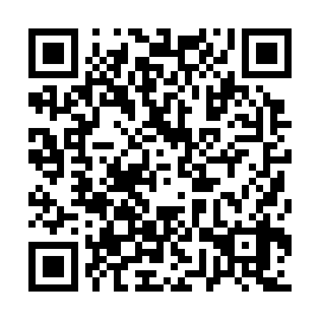 QR code for 17P 338