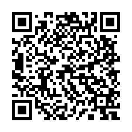 QR code for 17P 500