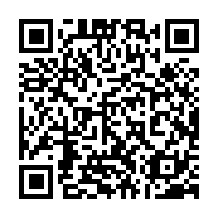 QR code for 17P X31