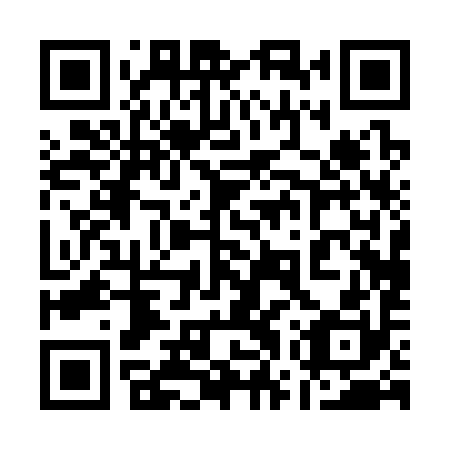 QR code for plate 17P 390
