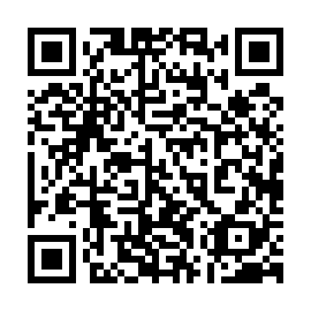 QR code for 17P528