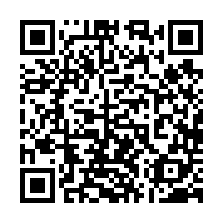 QR code for plate 17P 648