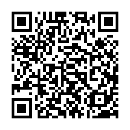 QR code for 17P811