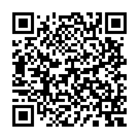QR code for 17PE95