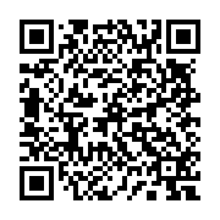 QR code for 17PN12