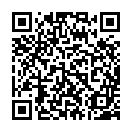 QR code for plate 17P YM3