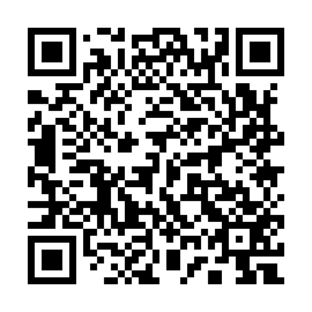 QR code for 17Q 953
