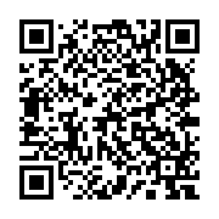 QR code for 17Q Z93