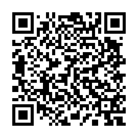 QR code for 17Q450