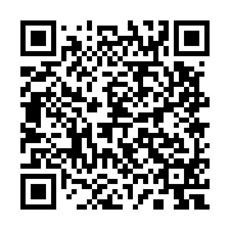QR code for plate 17Q 594