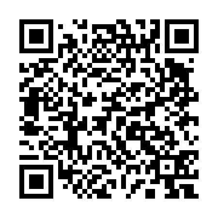 QR code for plate 17Q D31