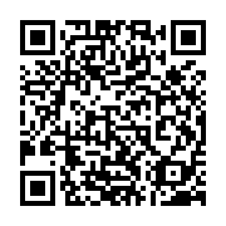 QR code for plate 17Q M19