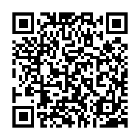 QR code for plate 17R 533
