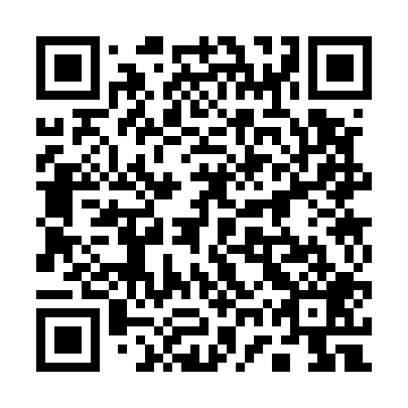 QR code for 17S 509