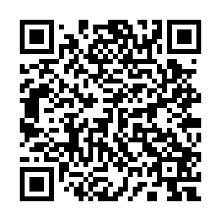 QR code for 17S PP3