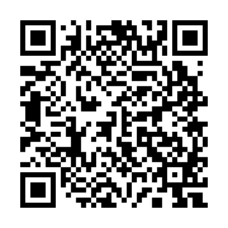 QR code for plate 17S 381