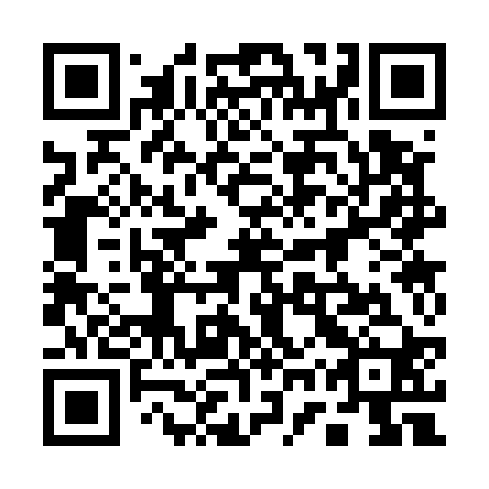 QR code for plate 17S 520