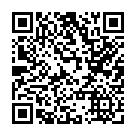 QR code for 17T 336