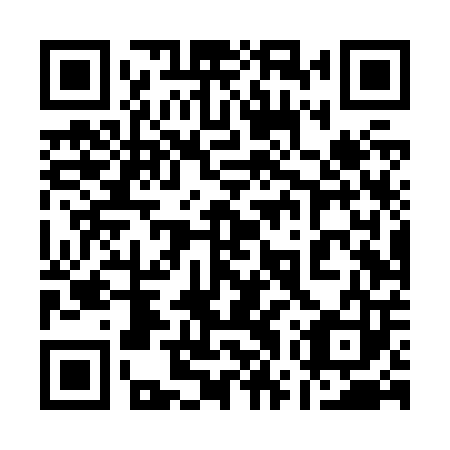 QR code for 17T Z03