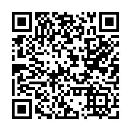 QR code for plate 17T 343