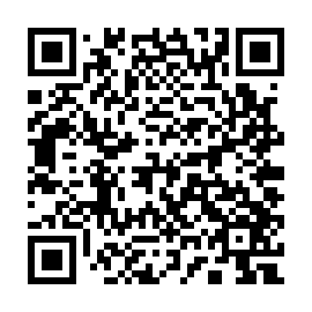 QR code for plate 17T Q46