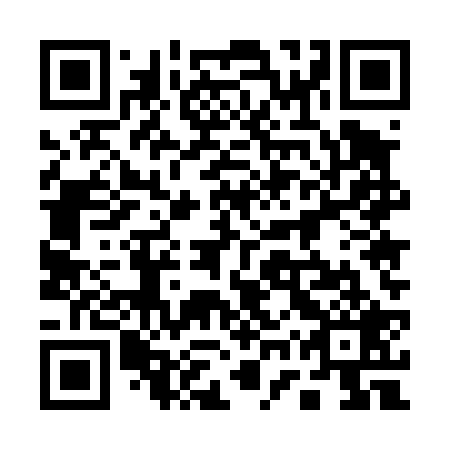 QR code for plate 17U 429