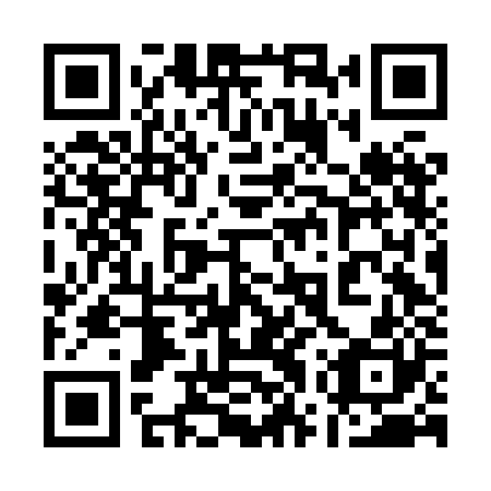 QR code for plate 17V HJ0