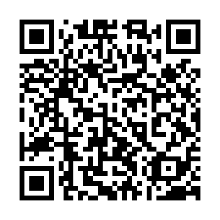 QR code for plate 17V L19