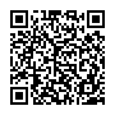 QR code for plate 17W G76