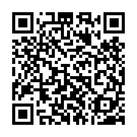 QR code for 17X DE9