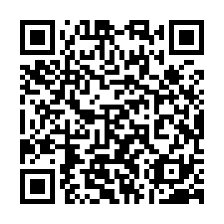 QR code for 17X Y31