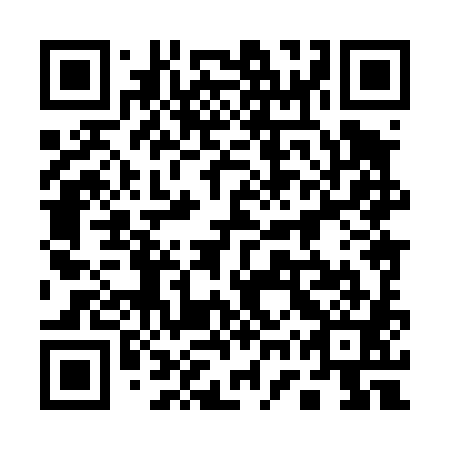 QR code for plate 17X 481