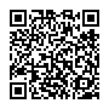 QR code for plate 17X FF9