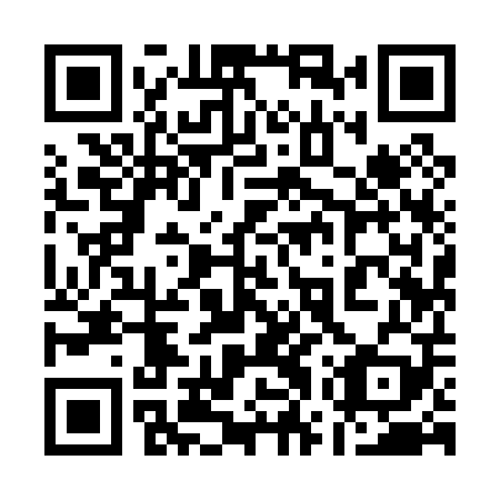 QR code for plate 17Y 009