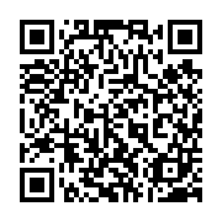 QR code for plate 17Y 603